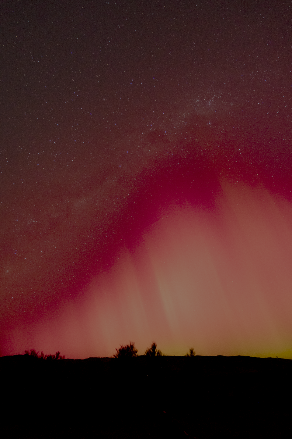 Aurora australis over Nelson