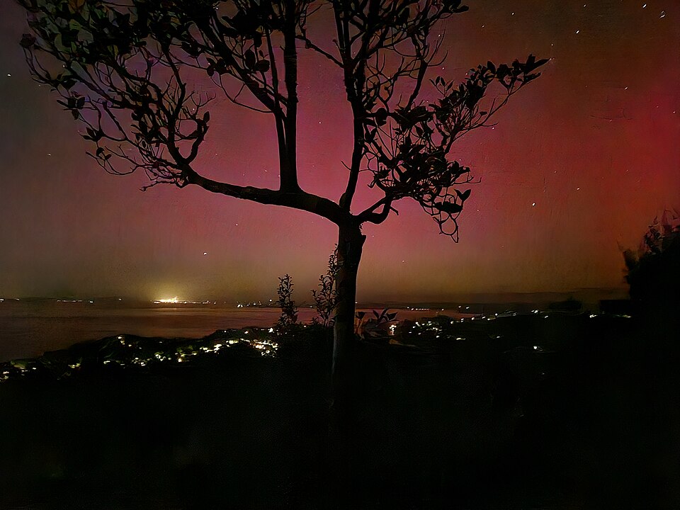 Aurora australis over Nelson
