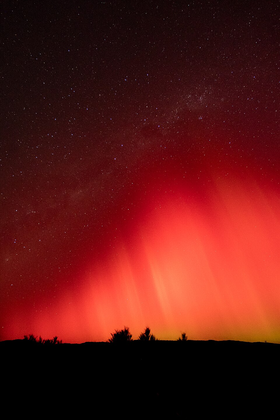 Aurora australis over Nelson
