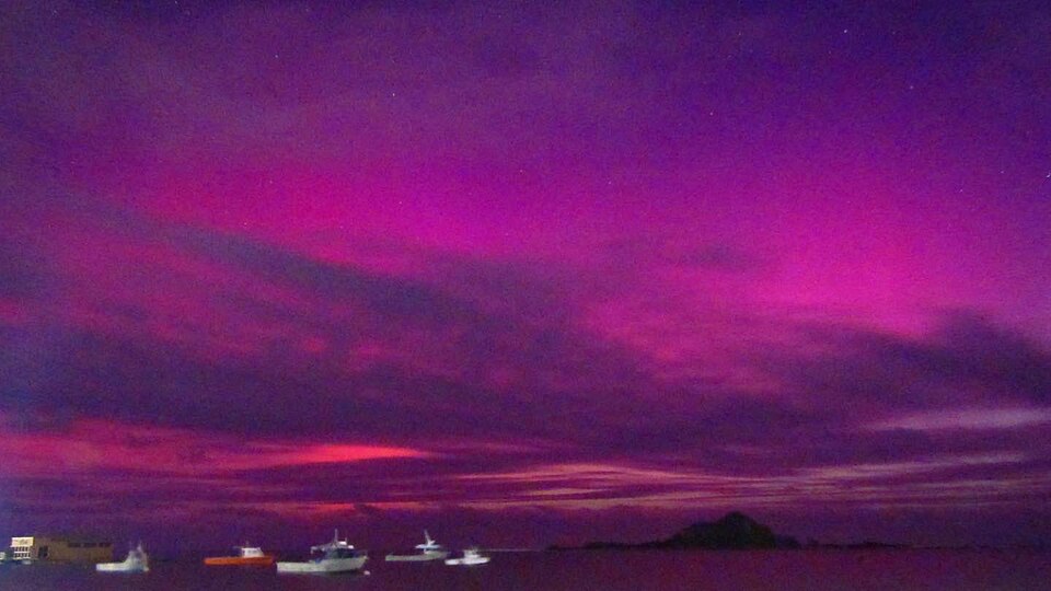Aurora australis over Nelson