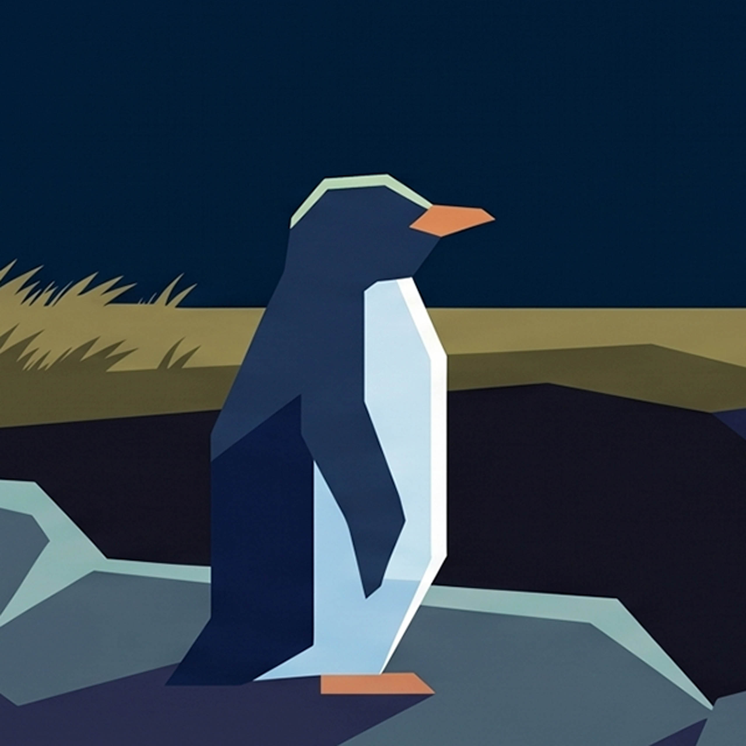Hemi the penguin