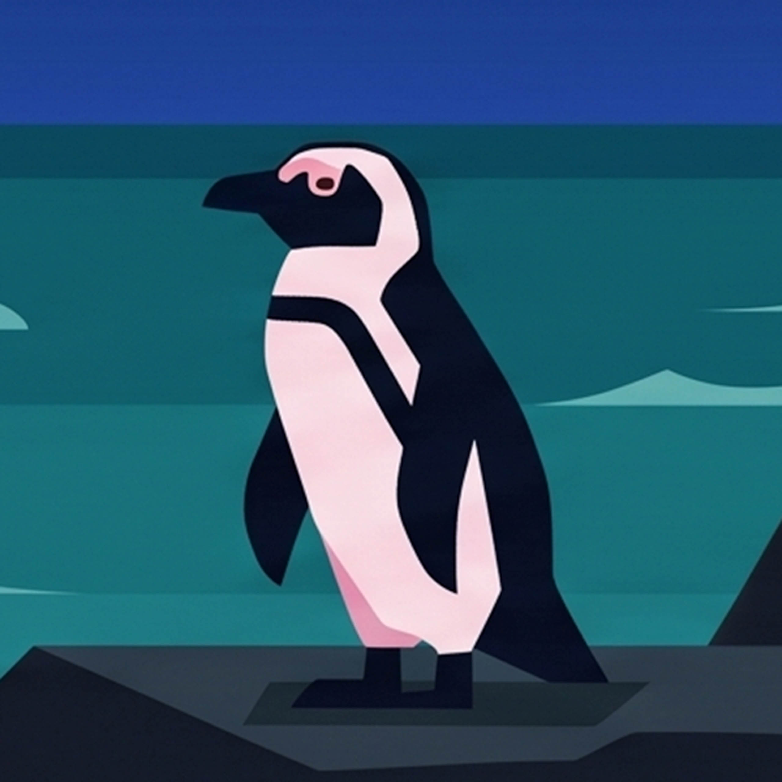 Kap the penguin
