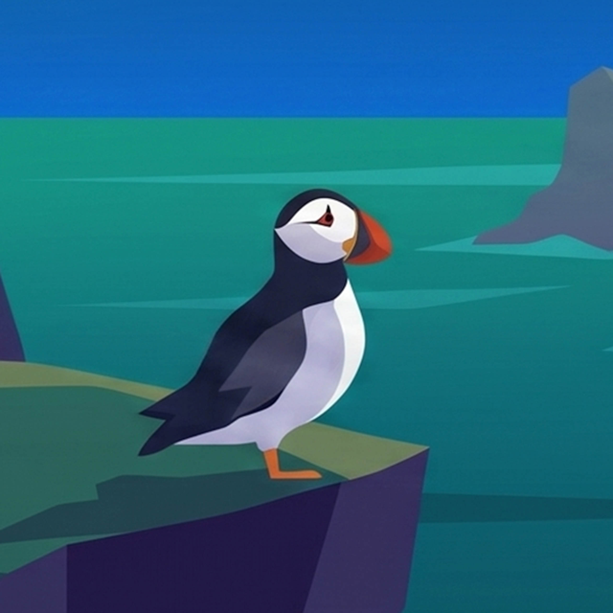 Lundi the puffin