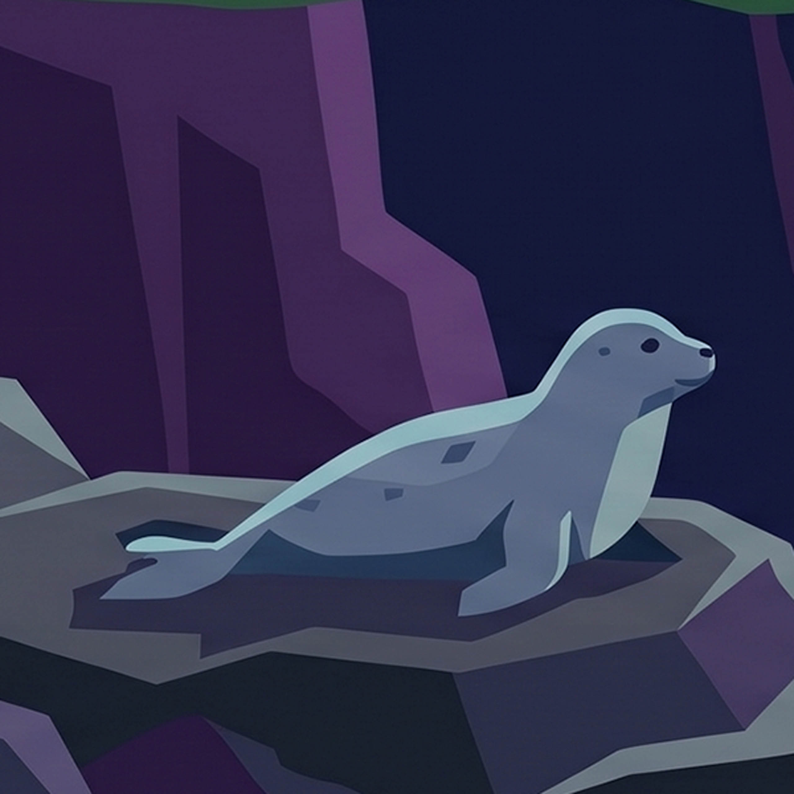 Rónán the grey seal